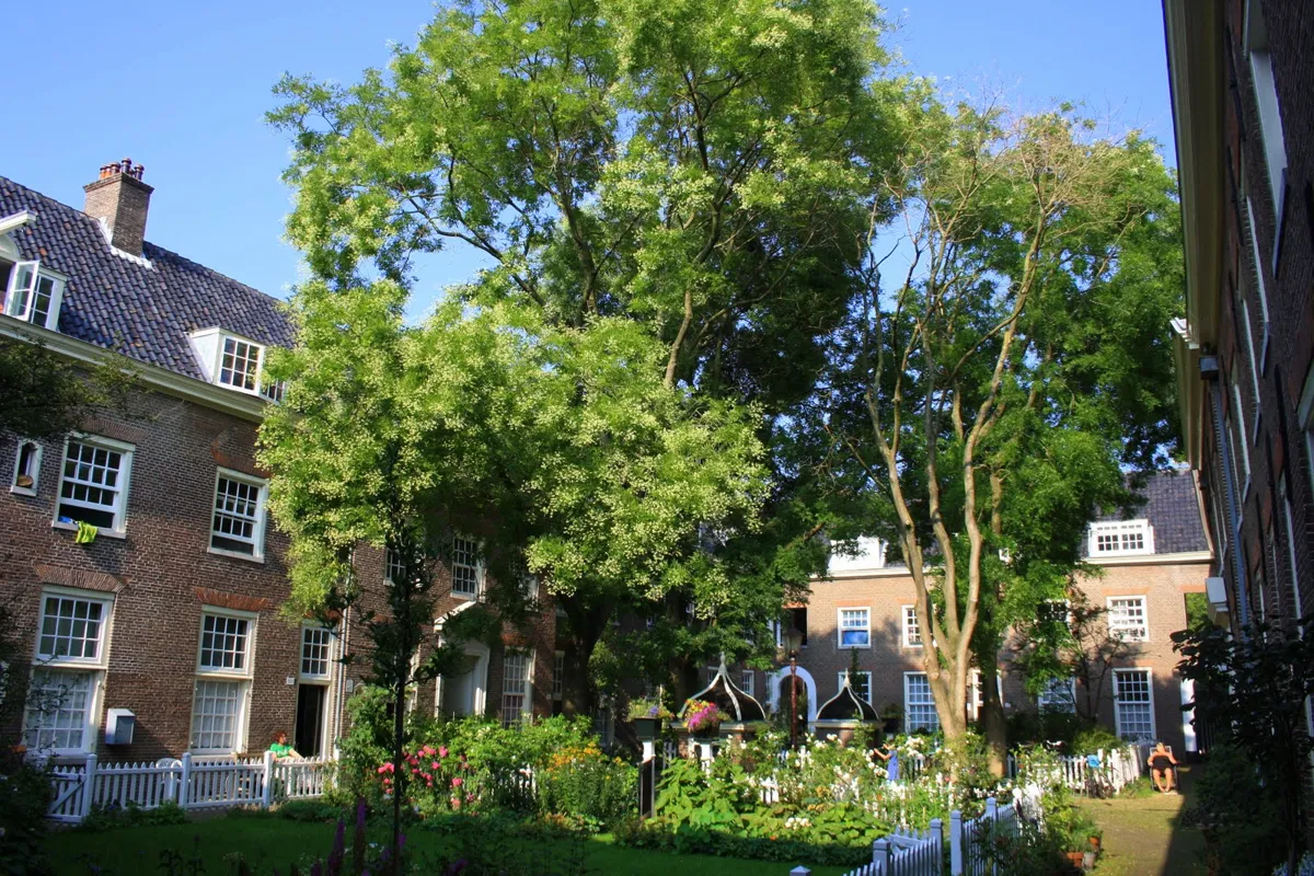 A green courtyard with tall trees, flower beds behind white picket fences and two small domed pumps, surrounded by plain brick houses with dormer windows
