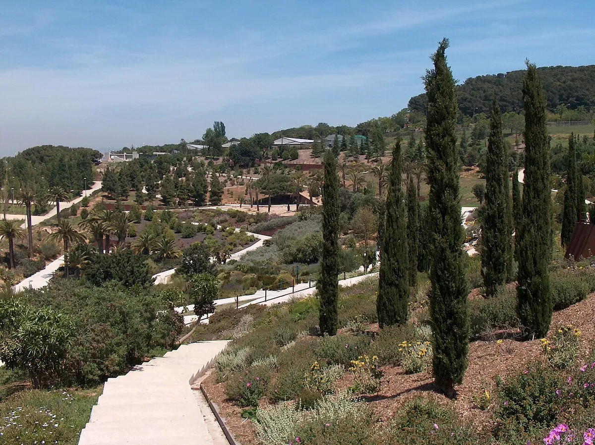 Paths winding through Mediterranean planting and cypress trees on a hillside in the botanical garden