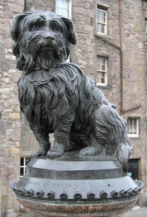 The small bronze statue of Greyfriars Bobby, a shaggy terrier, sitting on top of a granite drinking fountain in front of a stone tenement